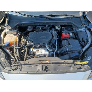Ford Focus Active SW Active SW 1.5 ecoblue co-pilot (Passaggio incluso)