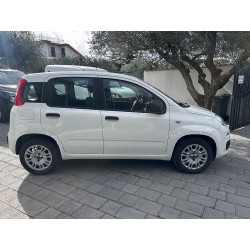 Auto occasione D.O.C. da cheapercar Panda GPL € 8750