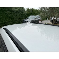 BMW Serie 3 318d Touring Business Advantage aut. (F30/F31)