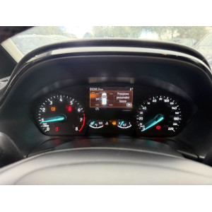 Ford Fiesta 1.0 ecoboost Passaggio incluso