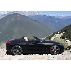 BMW Z4 3.0i Msport 258 CV