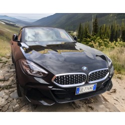 BMW Z4 3.0i Msport 258 CV