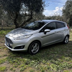 Ford Fiesta 1.5 TDCi 85 CV 5 porte titanium 2013