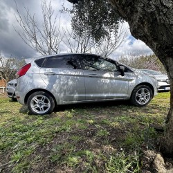 Ford Fiesta 1.5 TDCi 85 CV 5 porte titanium 2013