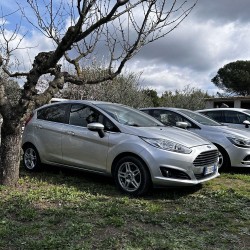 Ford Fiesta 1.5 TDCi 85 CV 5 porte titanium 2013